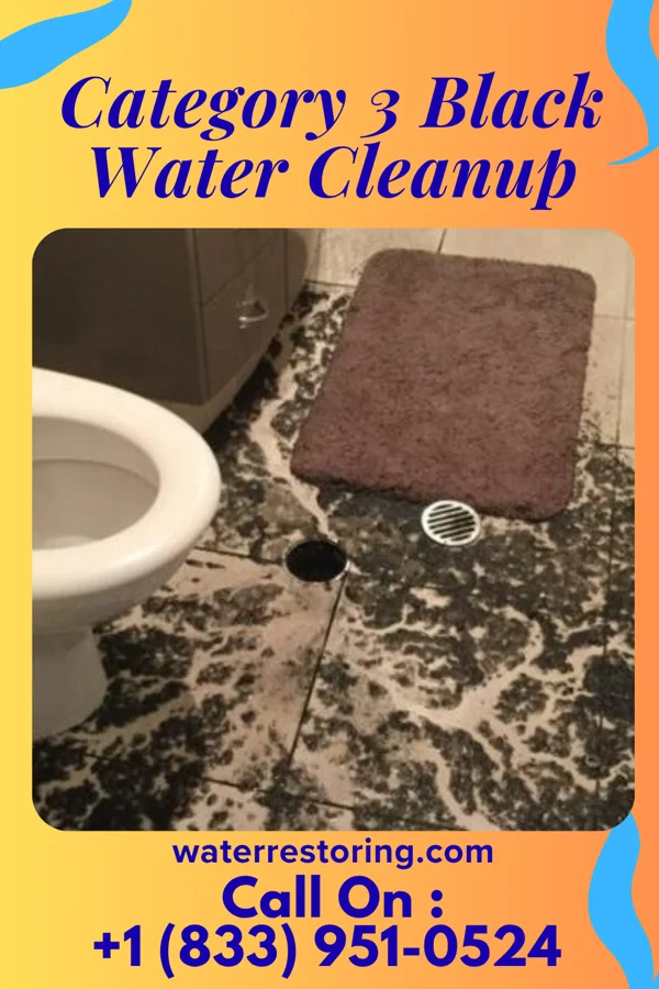 Category 3 Black Water Cleanup in Cross Plains, TX
