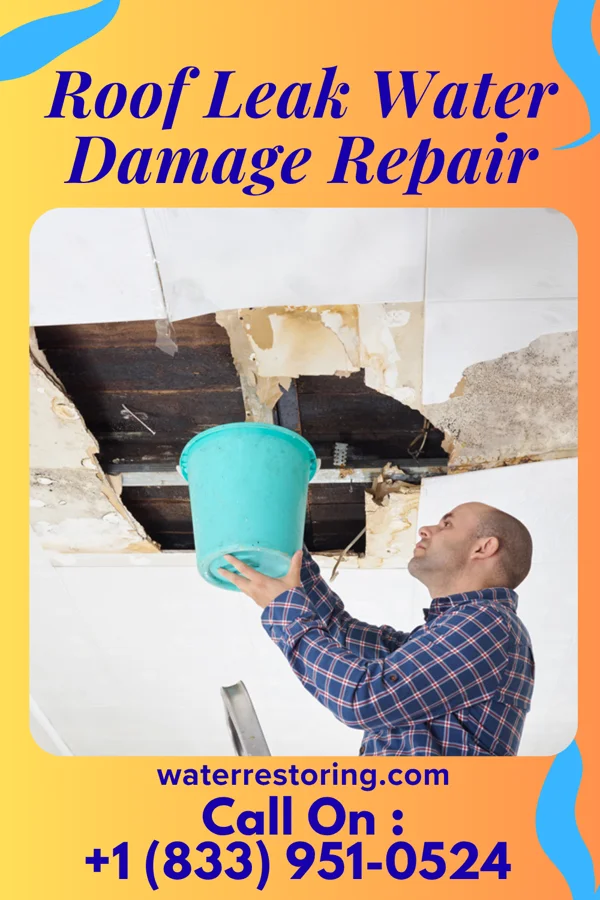 Roof Leak Water Damage Repair in Cross Plains, TX
